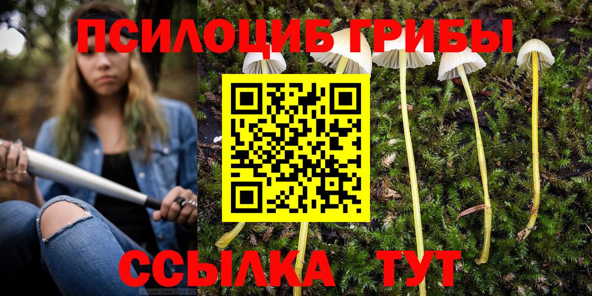Псилоцибиновые грибы GOLDEN TEACHER Гулькевичи